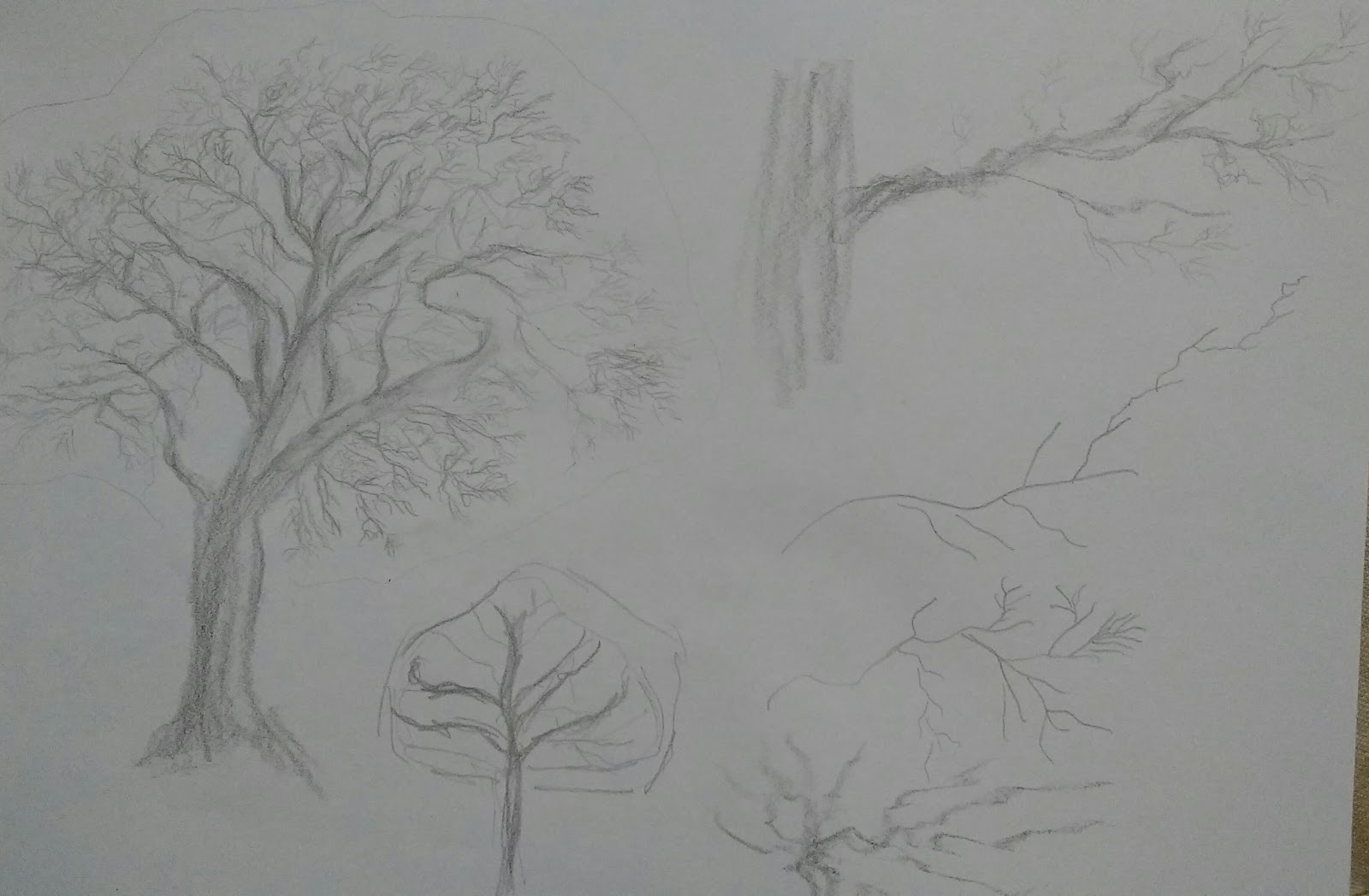 artigo Como desenhar arvore seca ou com folhagem - estrutura dos galhos das árvores e caule 2