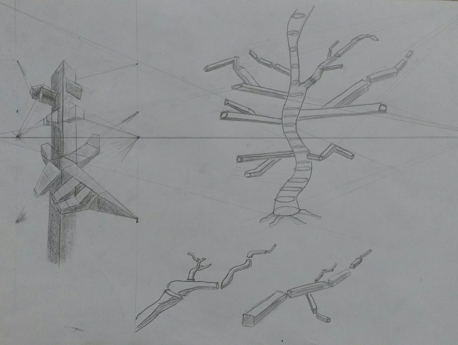 artigo Como desenhar arvore seca ou com folhagem - estrutura dos galhos das árvores e caule