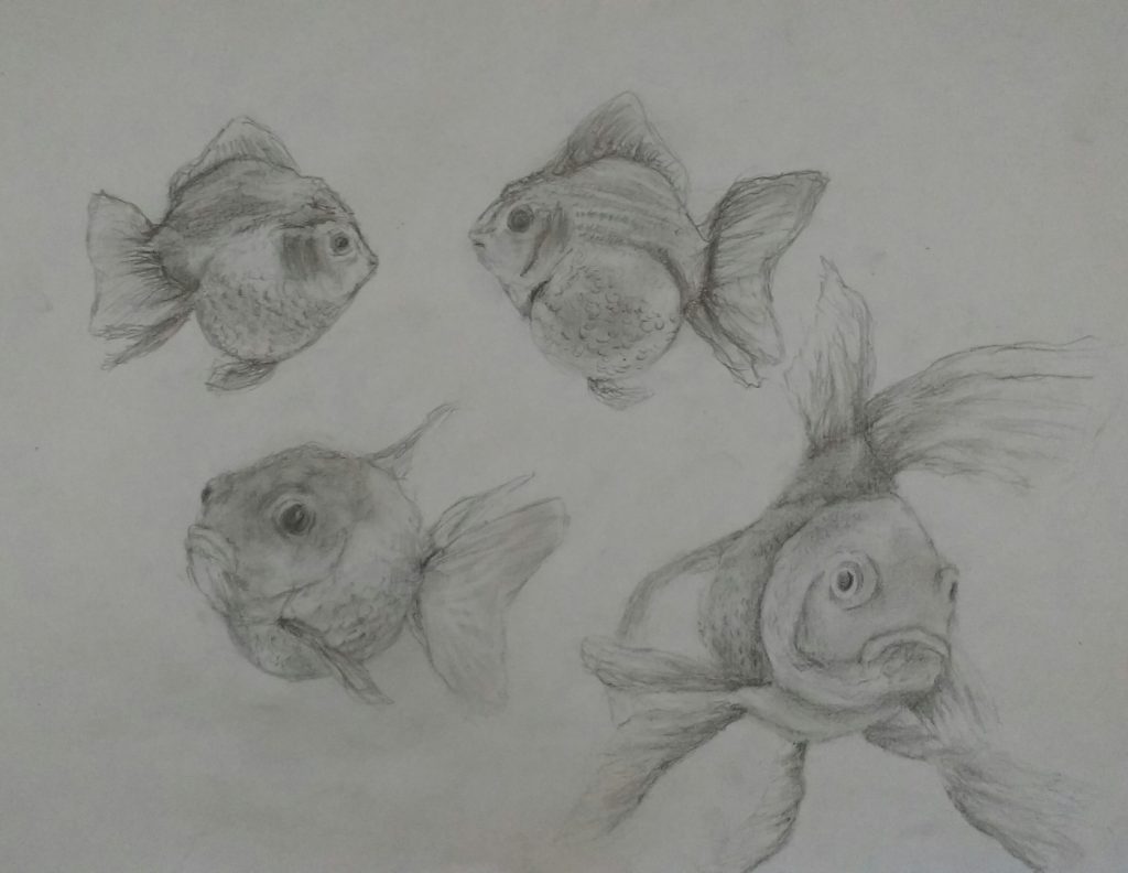 livro de desenho para iniciantes pdf - exemplo desenhando peixes